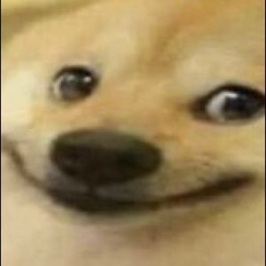 Meet your Posher, Gabrielle